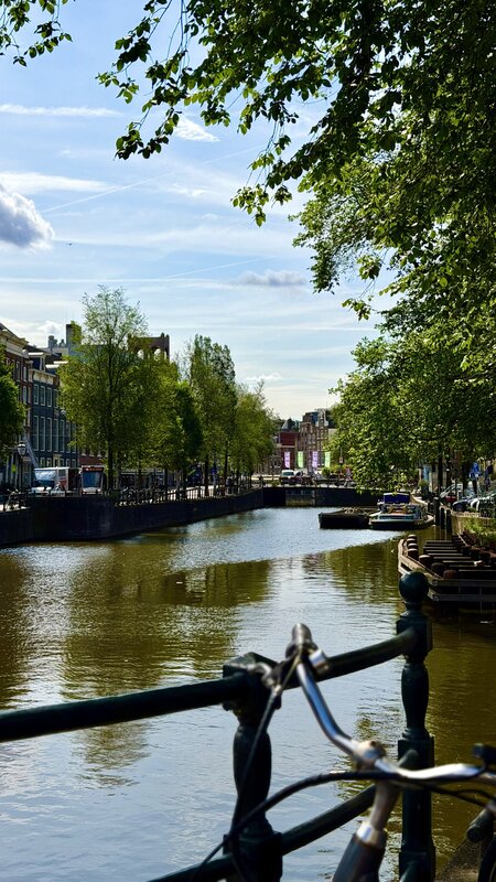 An Amsterdam canal in summer, trees along both banks, boats moored ahead and a bicycle handlebar in the foreground