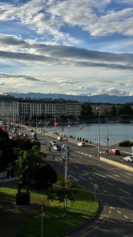 Looking down from a top floor over the Geneva quay, traffic, trees, the lake and the far hills