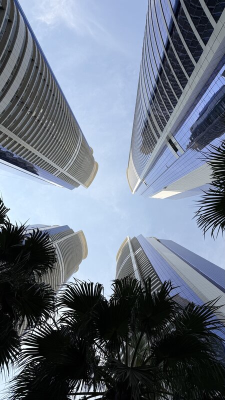 Looking up between Dubai skyscrapers and palm trees