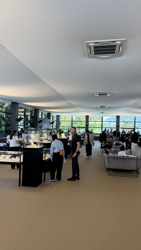 A viewing room with display cases down the middle and people moving between them, tall windows along one wall