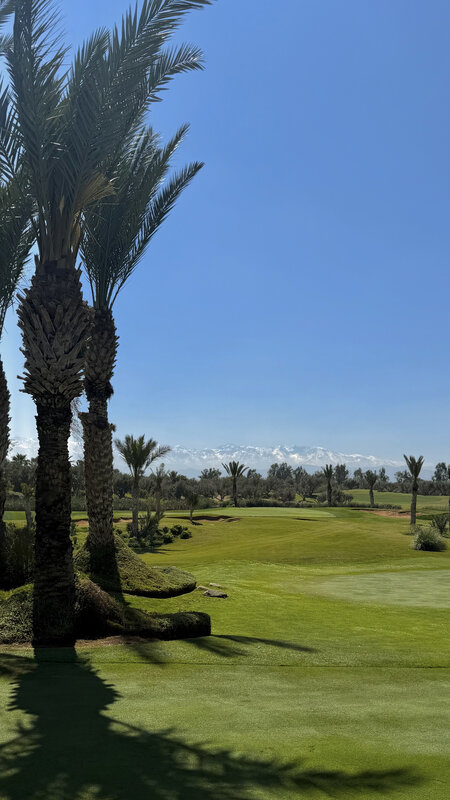 Palm trees framing the Royal Palm Golf fairway with snow-capped Atlas Mountains in the distance