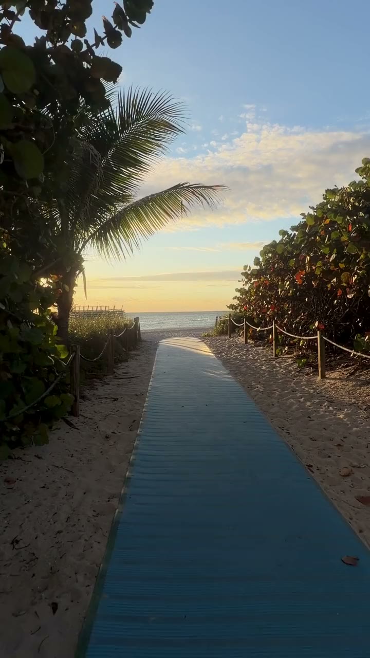 Sunrise over Miami Beach in slow motion — calm waves, clean sand, golden light over the ocean — video