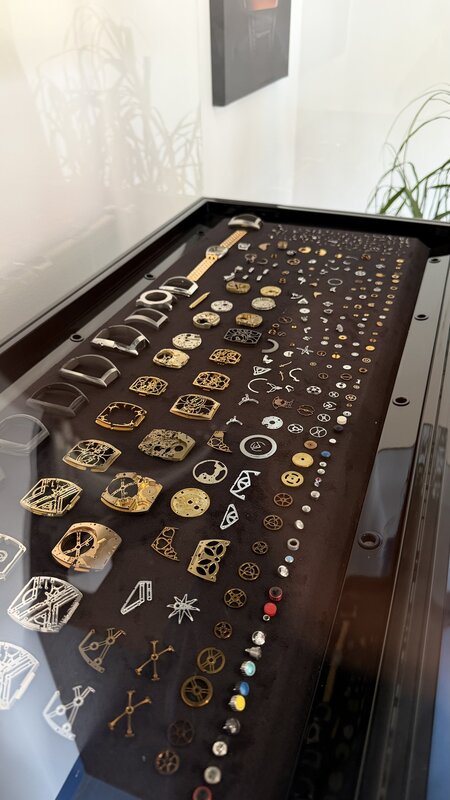 A display case of Franck Muller watch components, case parts, movements, gears, screws and jewels arranged in rows on dark velvet